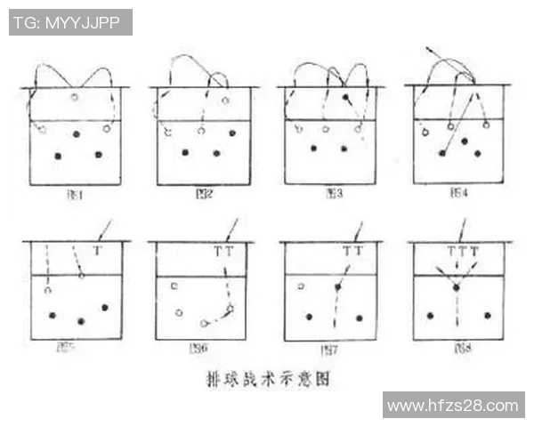 武汉排球队整体压制打法深度分析与战术解析