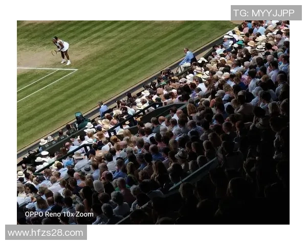 杭州网球队的转型之路:深度解析网球运动的变革与发展 杭州网球队的转型之路:深度解析网球运动的变革与发展