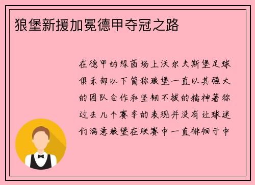 狼堡新援加冕德甲夺冠之路
